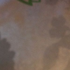 Meet your Posher, Beatriz